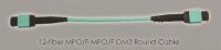 12-fiber MPO OM3 cable