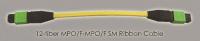 12-fiber MPO Singlemode cable