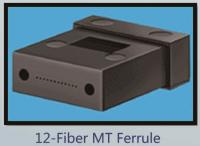 12-Fiber MT Ferrule